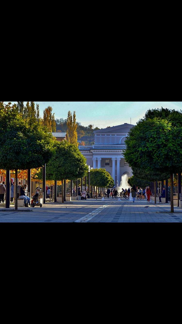 Refugiul Castelului Apartman Vajdahunyad Kültér fotó
